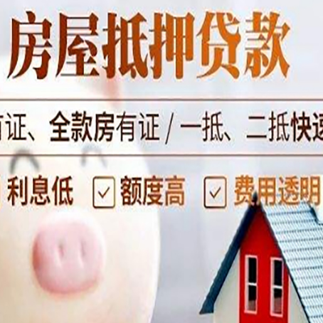 龙州贷款助贷公司新渝启服成立时间久